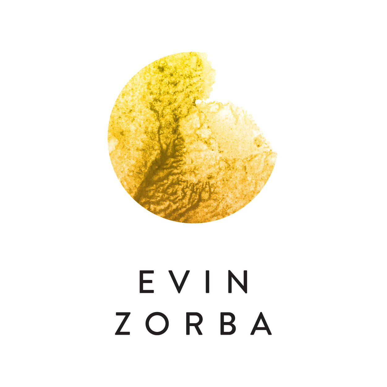 EvinZorba_Logo_Transparent